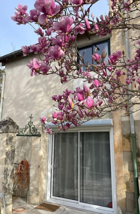 Villa 7 Rayons Avignone Esterno foto